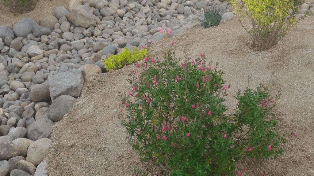 How To Landscape With Decomposed Granite - Outdoor Garden Accessories