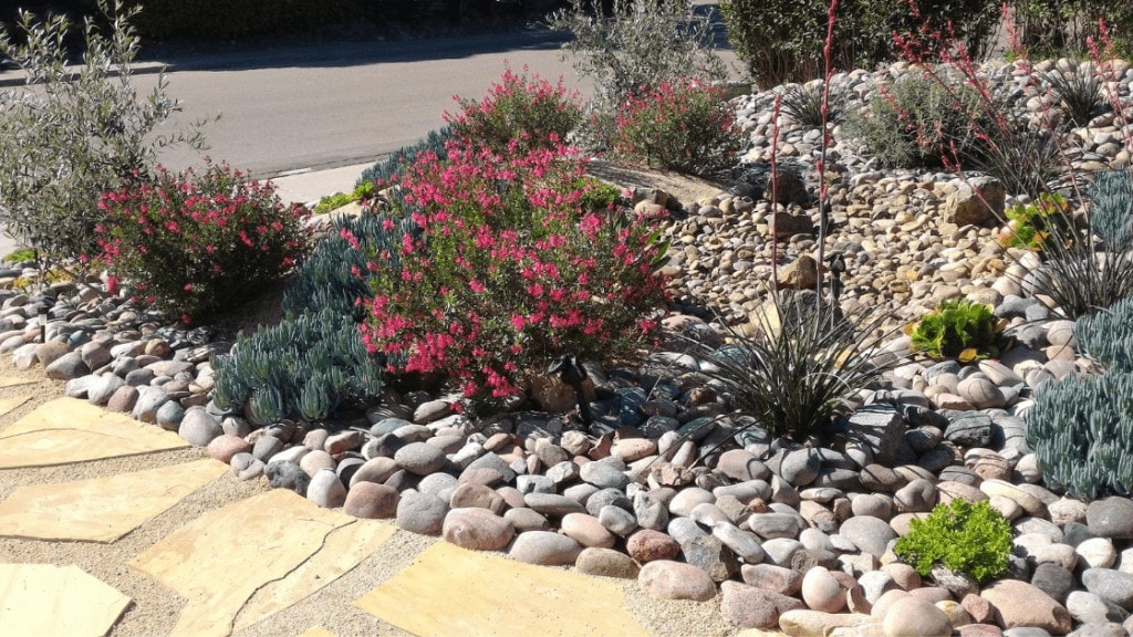 Xeriscape Vs Dryscape What S The, What Is Xeriscape Landscaping