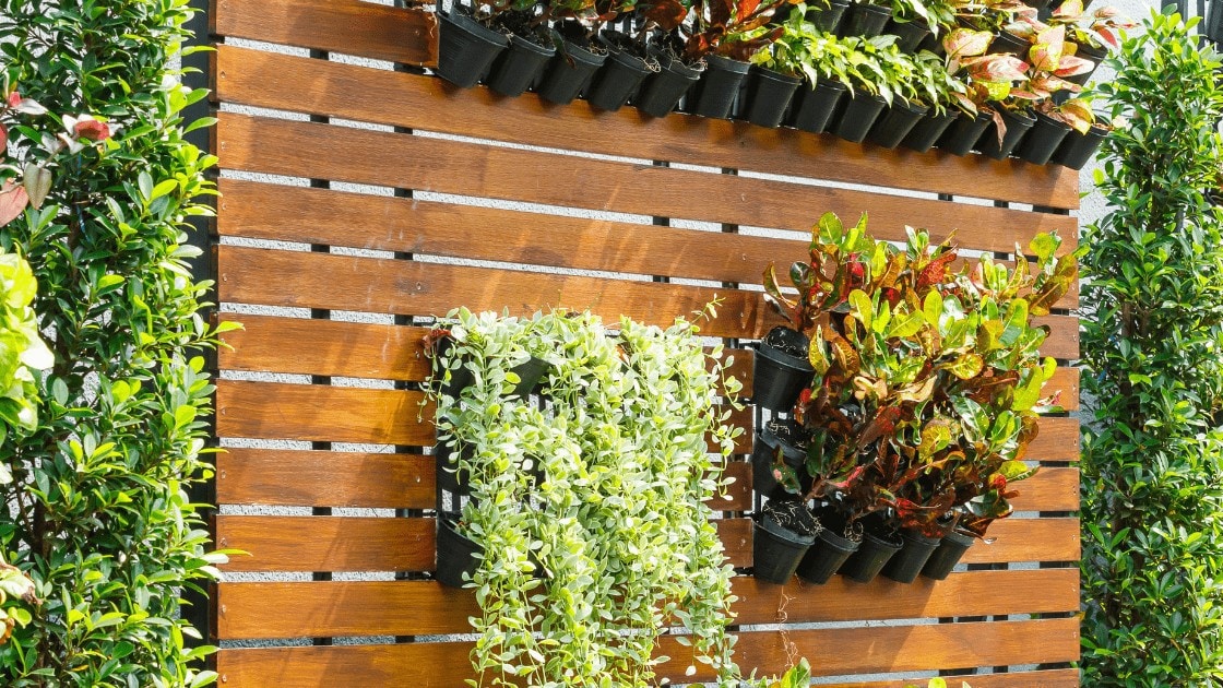 Vertical garden wall