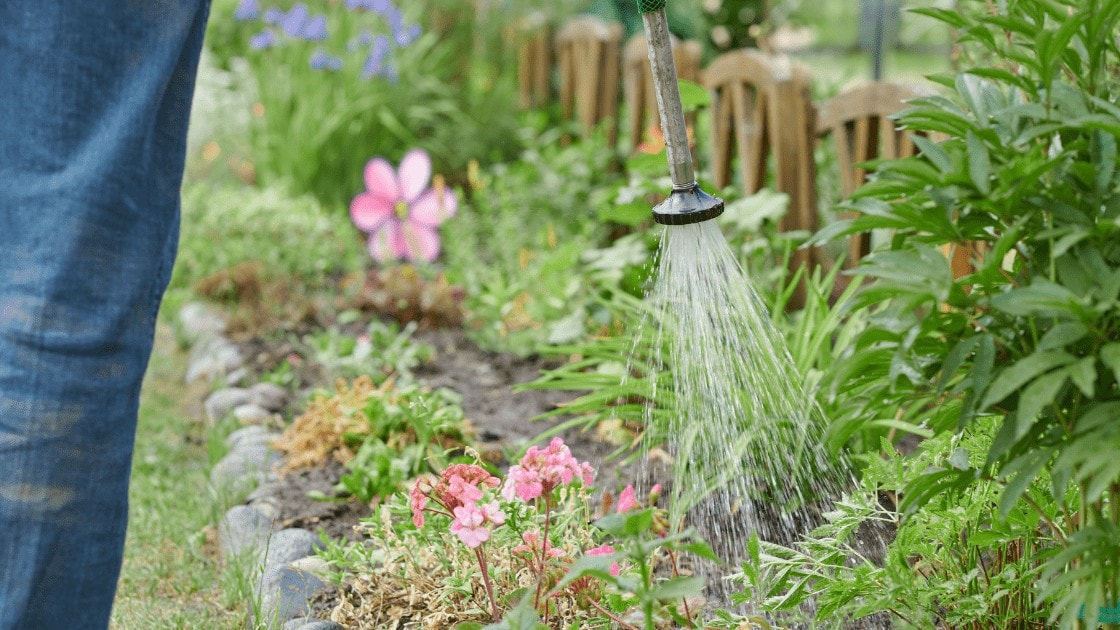 Water wand for watering plants.