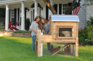 Backyard-Chicken-Coops