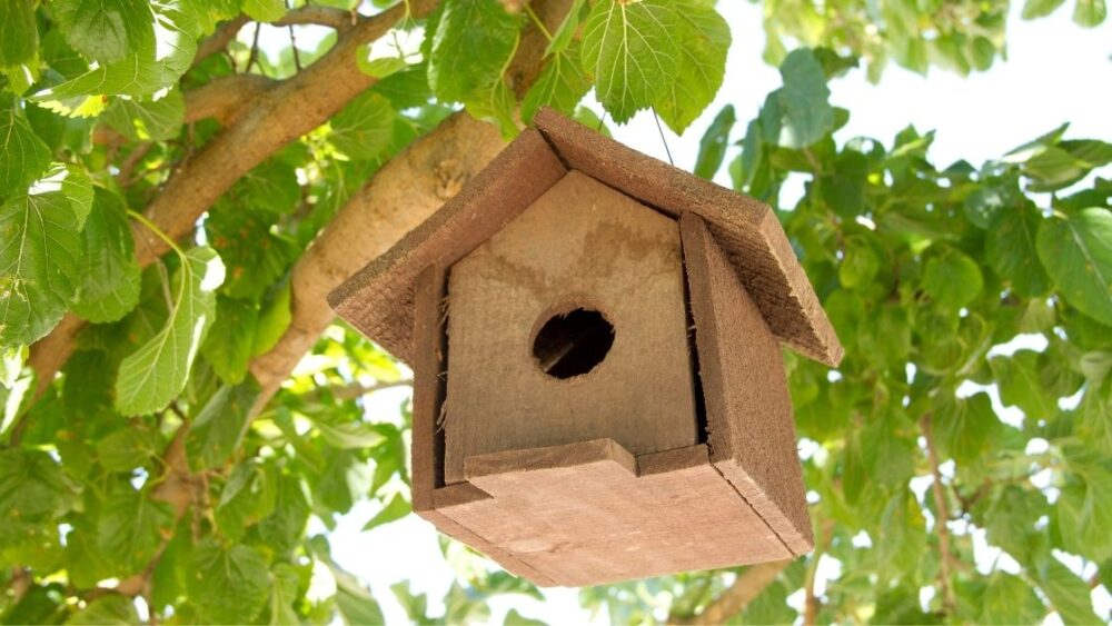 Garden Birdhouse & Hut Accessories 4 Pack Wildlife Birds Outdoor Water Feeders 