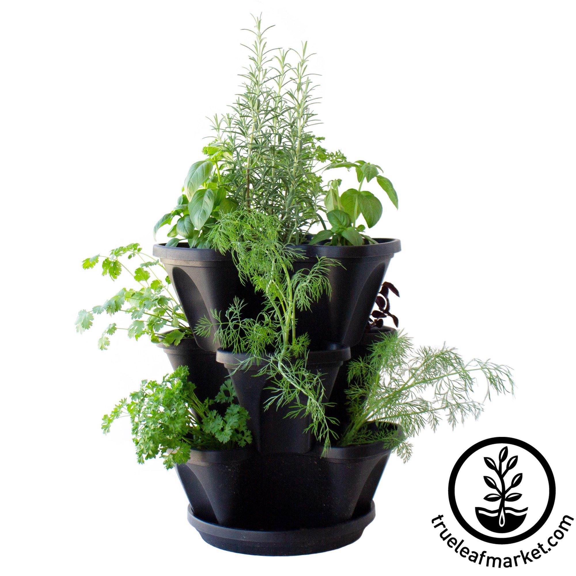 Garden Stacker Planter & Culinary Herb Kit